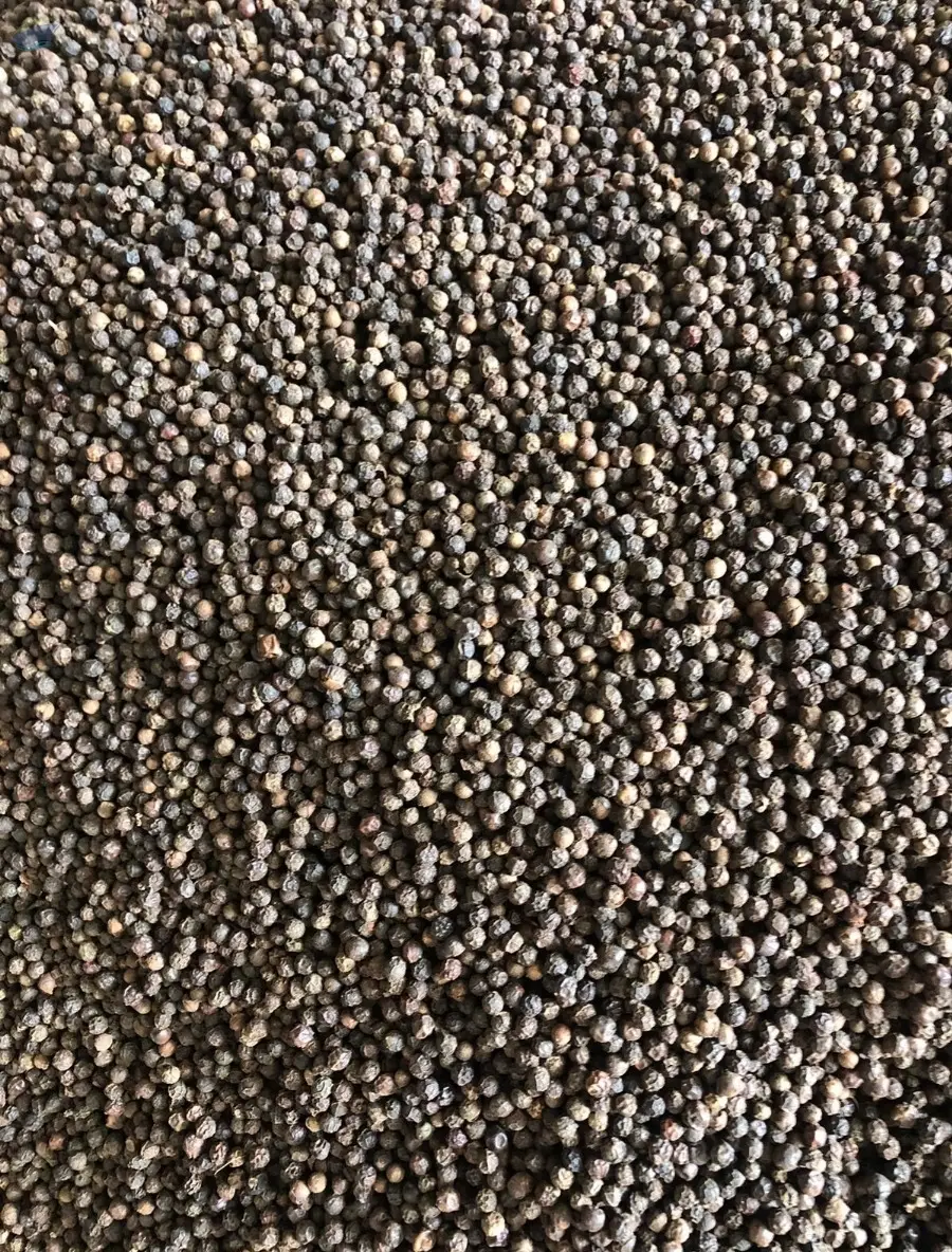 Black Pepper