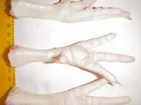 Frozen Chicken Feets