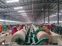 Jute Yarn