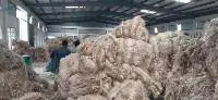 Raw Jute