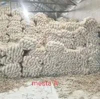 Raw Jute Mesta White