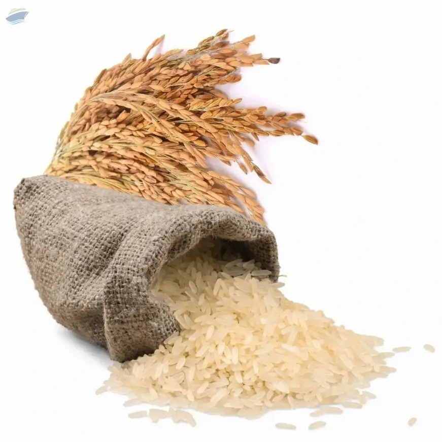 Rice by Falcon Pace Exim. Supplier from India. Product Id 1694325.