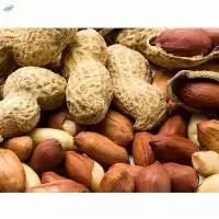 Groundnut
