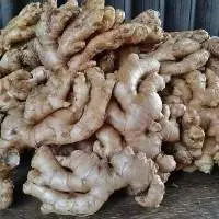 Fresh Ginger