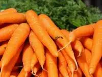 Vegetables