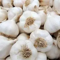 Premium Garlic Bulbs