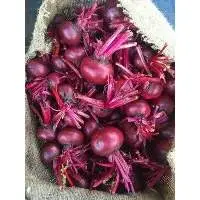Beetroot
