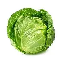 Indian-Origin Cabbage