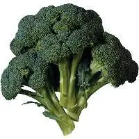 Indian Broccol