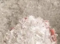 Pet Flakes
