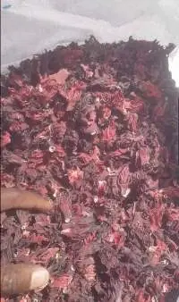 Dried Hibiscus
