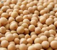 Soybeans