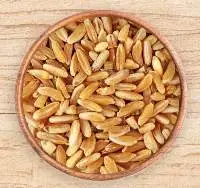 Durum