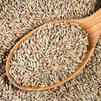 Rye