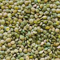 Green Lentils
