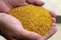 Distillers Dry Grain