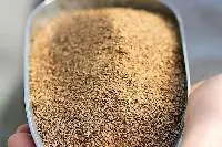 Canola Meal