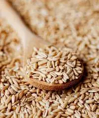 Oat Groats