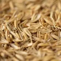 Oat Hulls