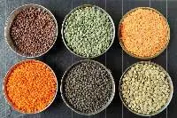 Lentils