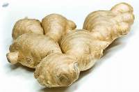 fresh ginger