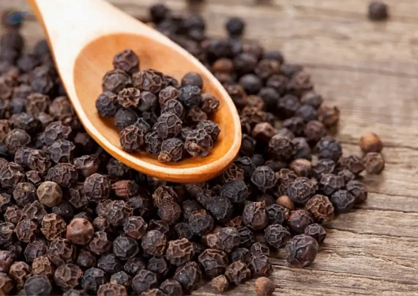 Black Pepper GL Bold