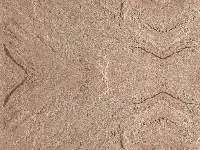 Dholpur Beige Sandstone