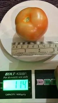 Fresh Tomtao