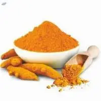Turmeric Powder