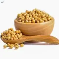 Soya Bean