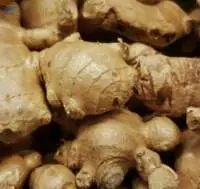 Ginger