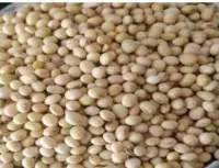 Soybeans