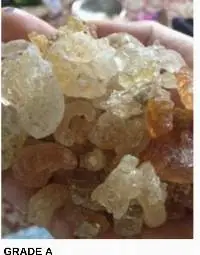 Gum Arabic