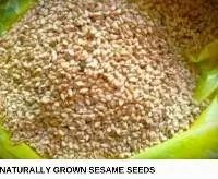 Sesame Seeds