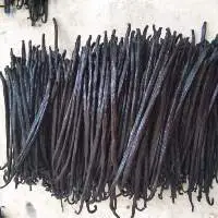 Vanilla Beans