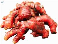Red Ginger