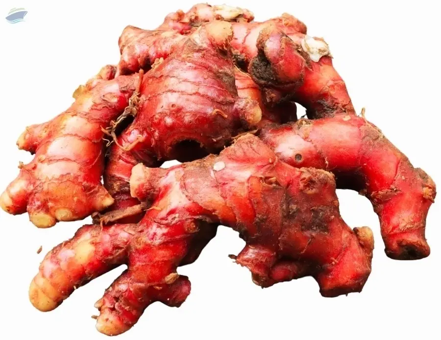 Red Ginger