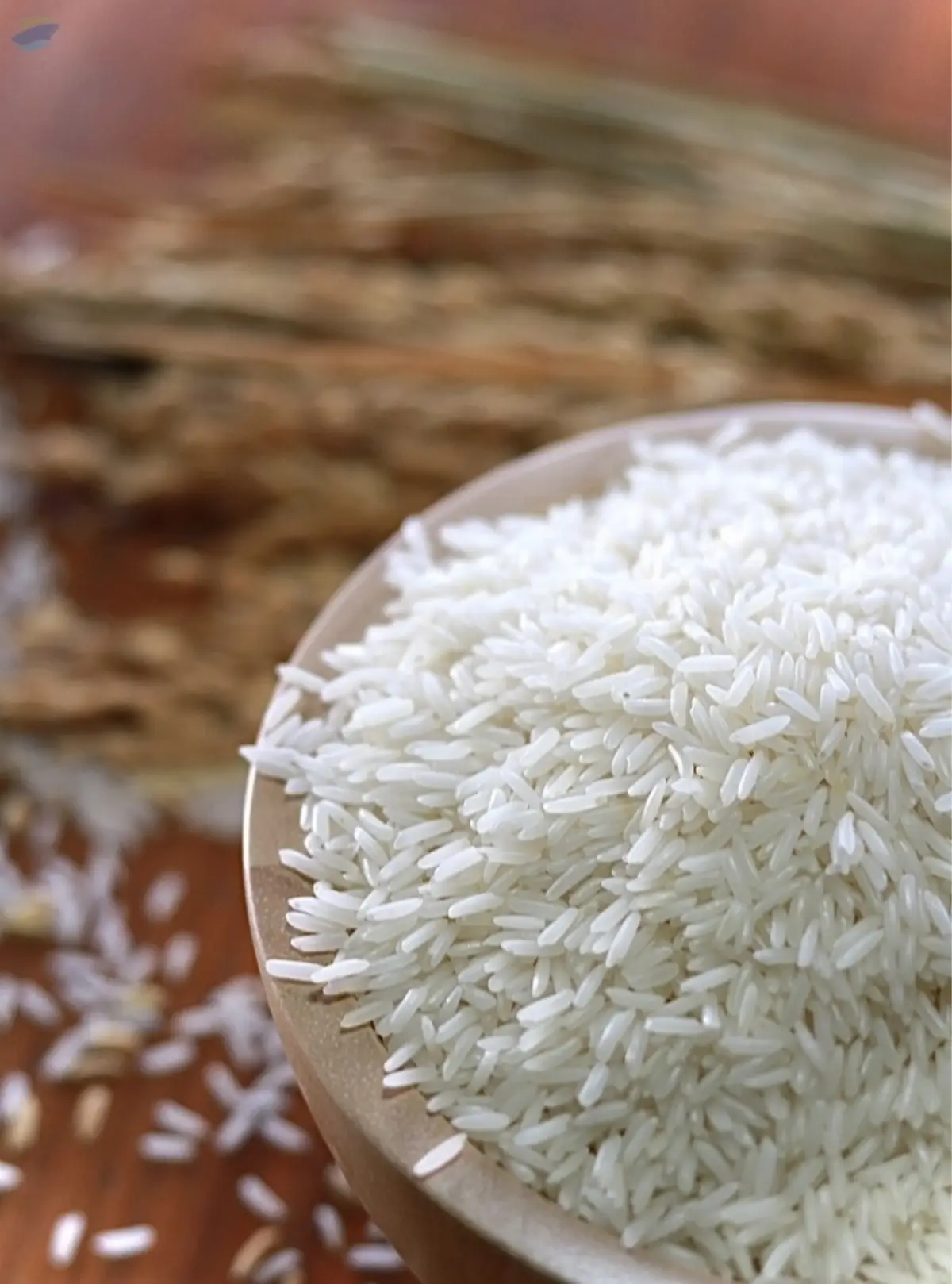Jasmine Rice