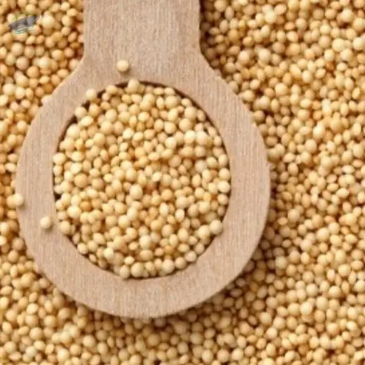 Millets