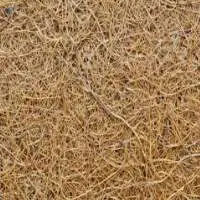 Coco Fiber