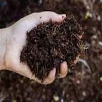 Organic Manure
