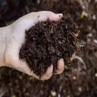 Organic Manure