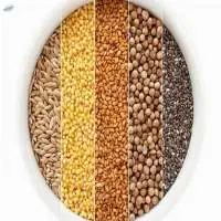 Grains