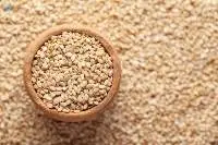 Sesame Seeds