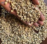 Arabica Coffee