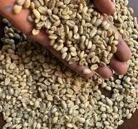 Arabica Coffee
