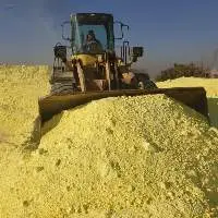 Sulfur or Sulphur