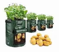 Plant Growing Bag
