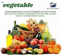 Fresh Vegetables