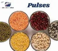 Pulses